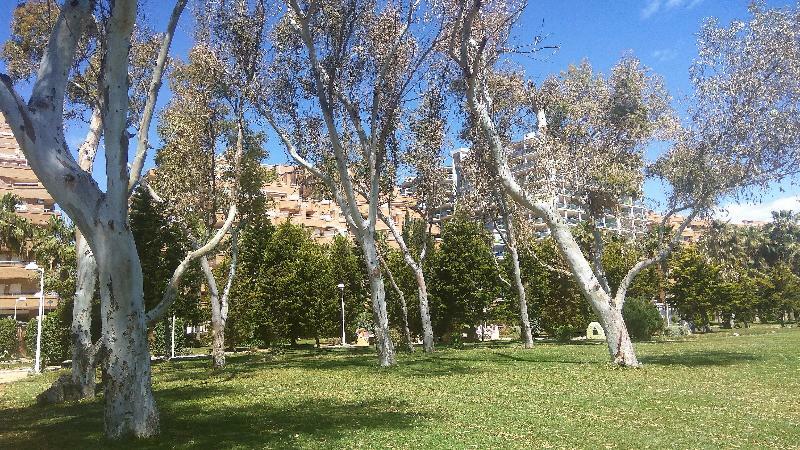 Acv - Costa Marina I-1ª Linea Planta 2 Sur Lejlighed Oropesa del Mar Eksteriør billede
